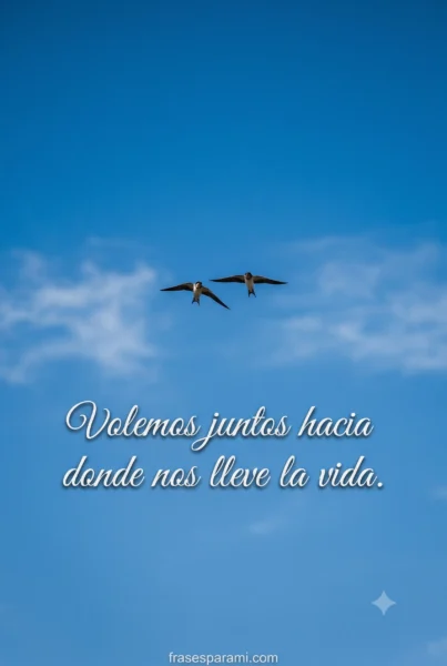 Pájaros volando juntos representando apoyo entre amigos