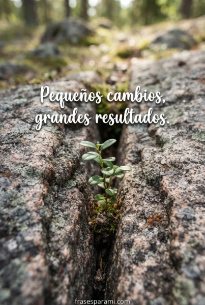 Frases motivadoras bonitas para compartir en redes sociales