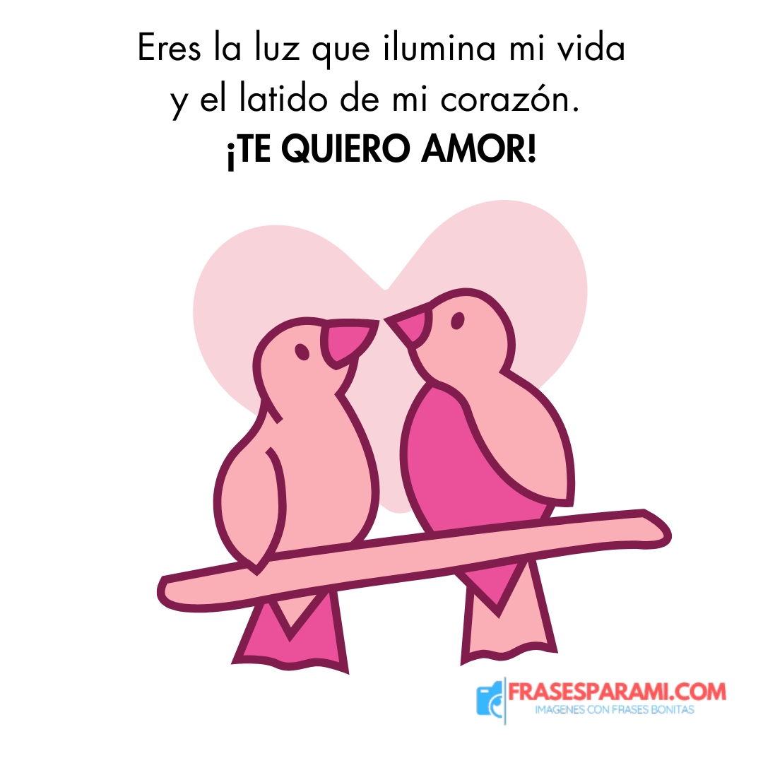 Imágenes de TE QUIERO MUCHO Mi Amor con FRASES