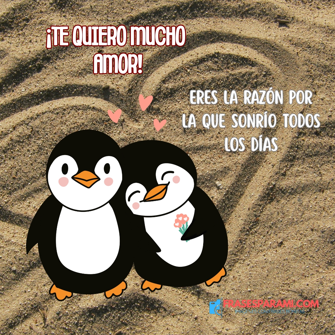 Imágenes de TE QUIERO MUCHO Mi Amor con FRASES