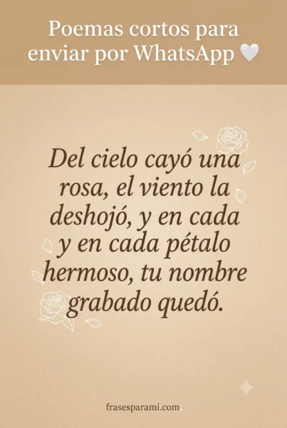 poemas de amor cortos para enviar por whatsapp y copiar en redes