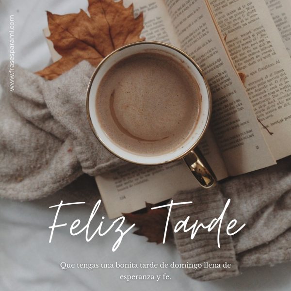 feliz tarde de domingo