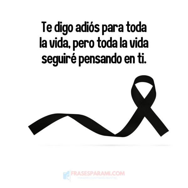 frases de duelo con moño de luto para whatsapp