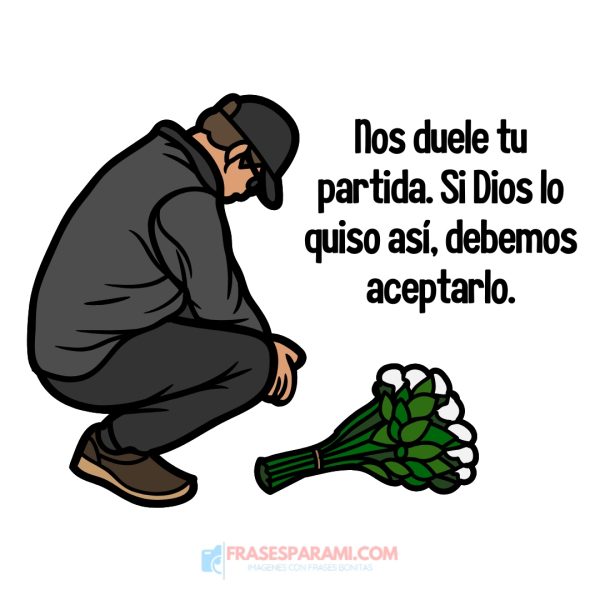 whatsapp fallecimiento bonitos moños de luto