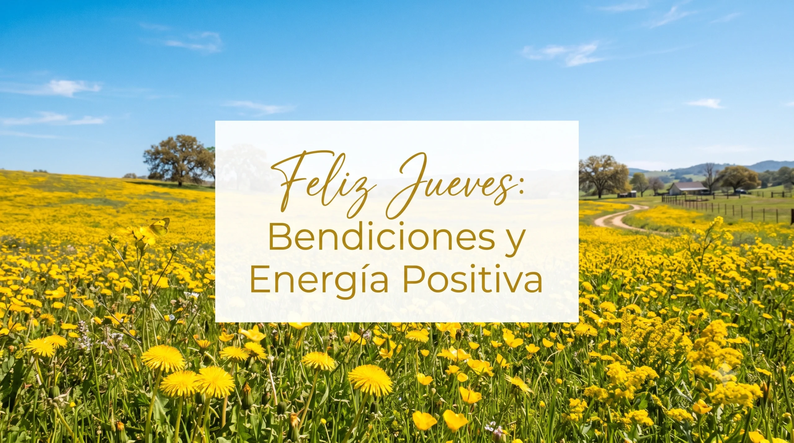 Imagen de campo soleado para desear un feliz jueves con bendiciones