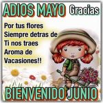 imagenes de adios mayo bienvenido junio