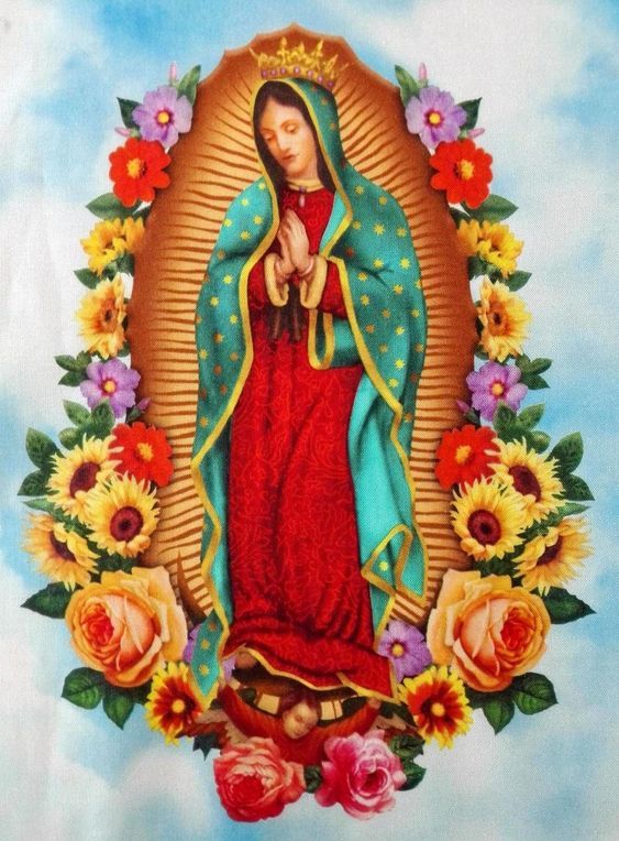 Imágenes de la Virgen de GUADALUPE Bonitas