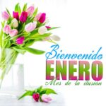 bienvenido enero bendiciones
