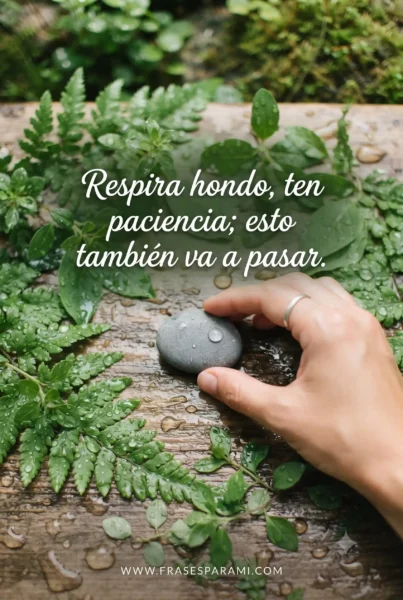 Imagen de ánimo y apoyo con frase corta para estados de WhatsApp