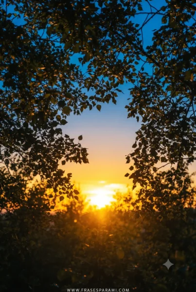Fotografía vertical de puesta de sol y naturaleza silvestre