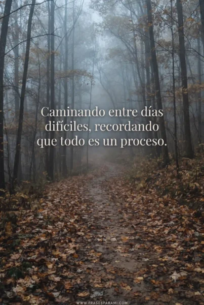 Frase de tristeza y reflexión en imagen para descargar